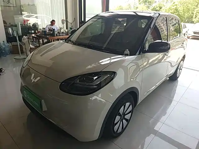 Wuling Motors Wuling Bingo