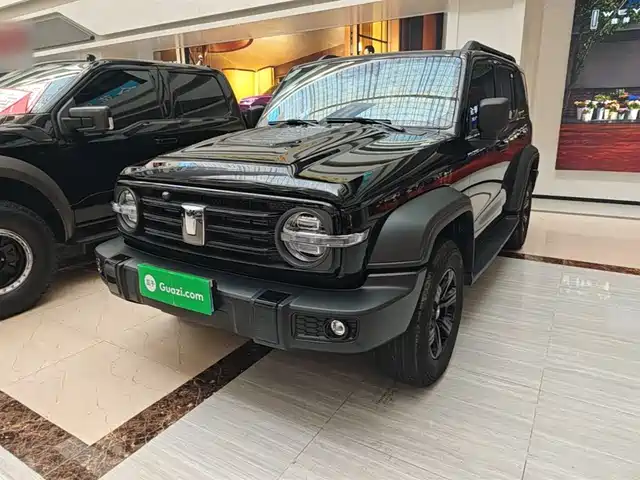 Tank Tank 300 2024