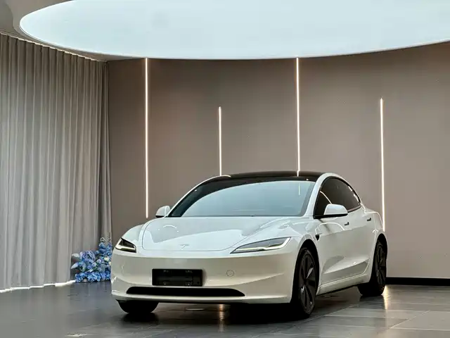 Tesla Model 3 2024