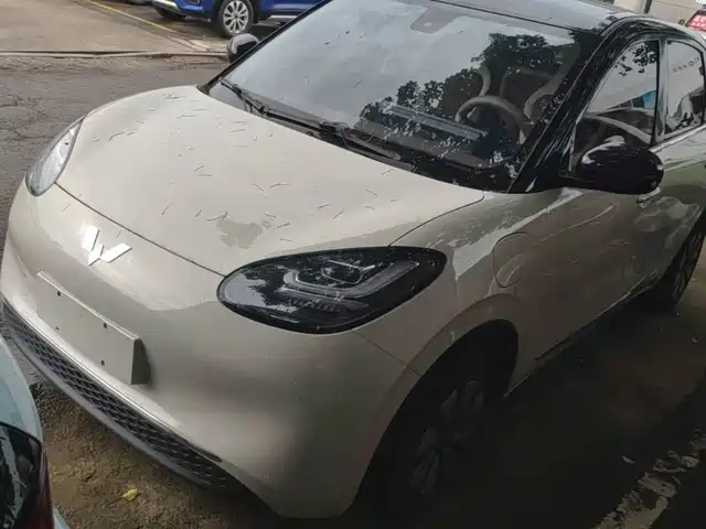 Wuling Motors Wuling Bingo