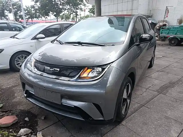 BYD Dolphin 2024