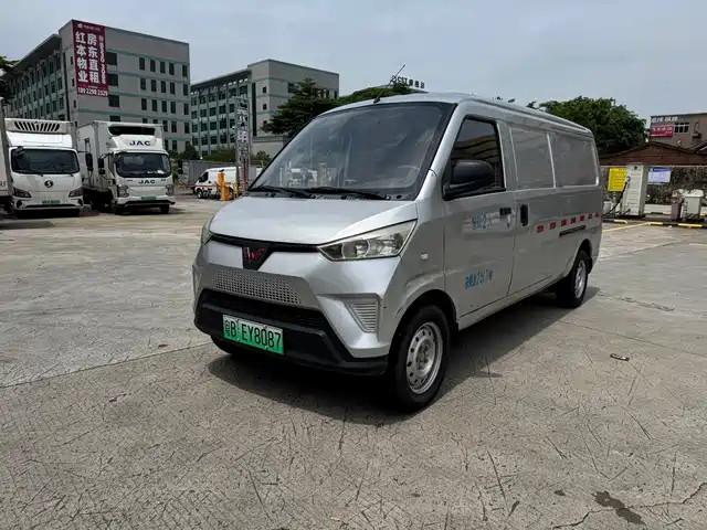 Wuling Motors Wuling EV50