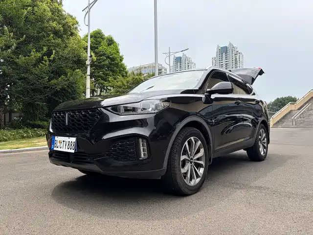 WEY Wey VV6