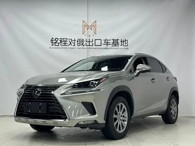 Lexus Lexus NX 2021
