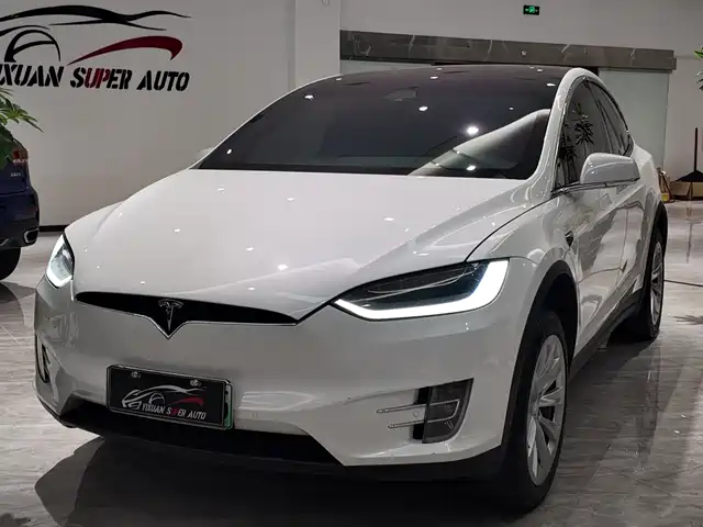 Tesla Model X 2020