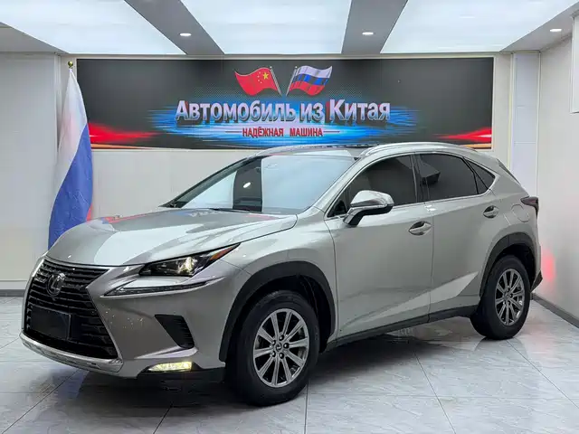 Lexus Lexus NX 2020