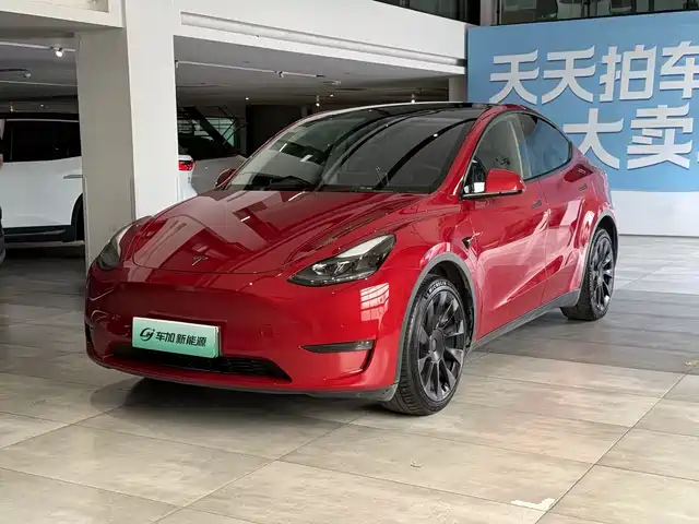 Tesla Model Y 2021