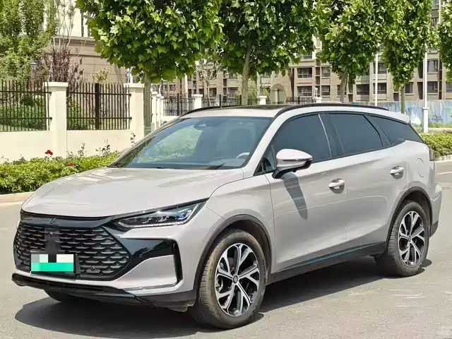 BYD Tang New Energy 2024