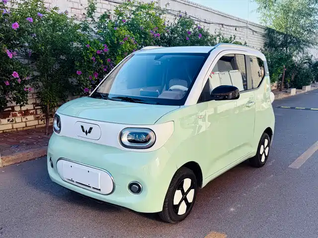 Wuling Motors Hongguang MINIEV