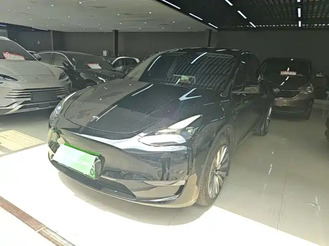 Tesla Model Y 2021