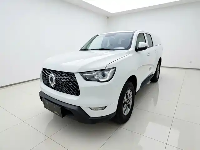 Great Wall Pao 2021