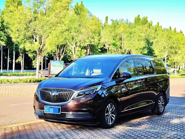 Buick Buick GL8 2018