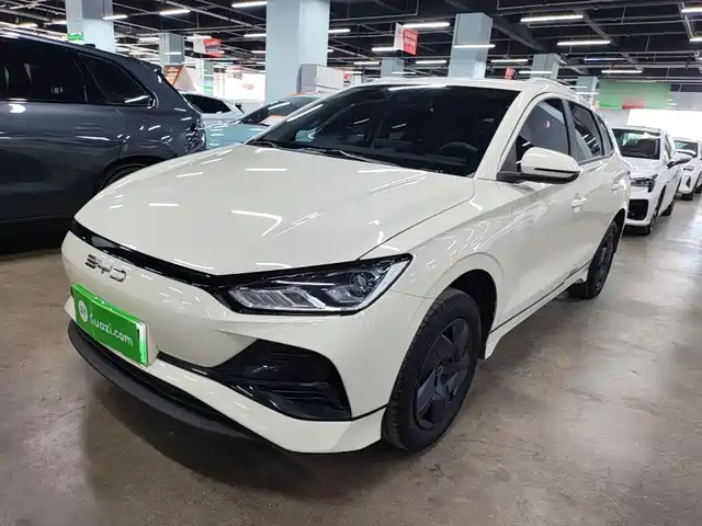 BYD BYD e2 2024
