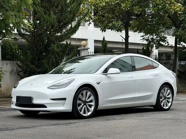 Tesla Model 3 2020