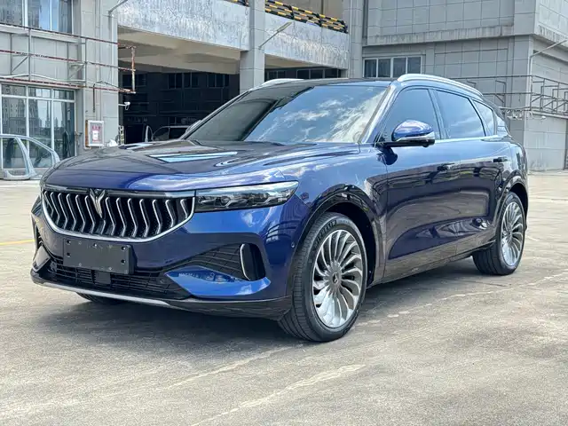 Voyah Auto VOYAH FREE 2024