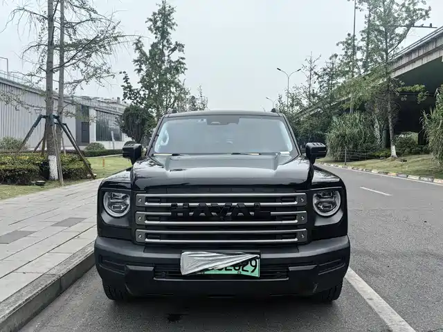 Haval Haval Meng Long NEV 2024