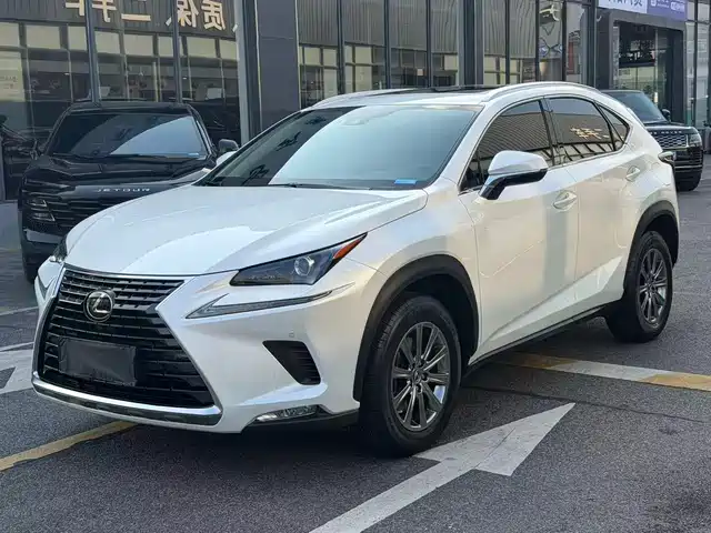 Lexus Lexus NX 2020