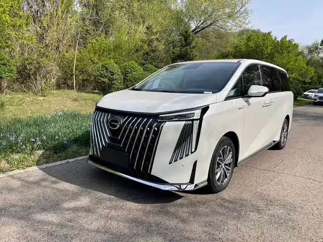 GAC Trumpchi Trumpchi M8