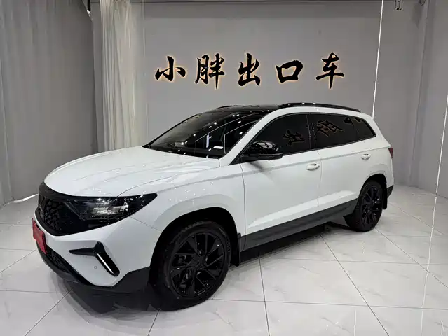 Jetta Jetta VS7 2024