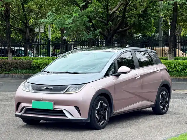 BYD Dolphin 2022