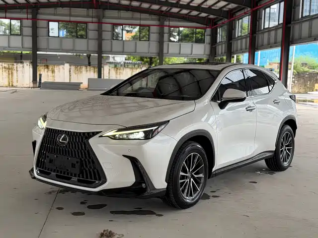 Lexus Lexus NX New Energy