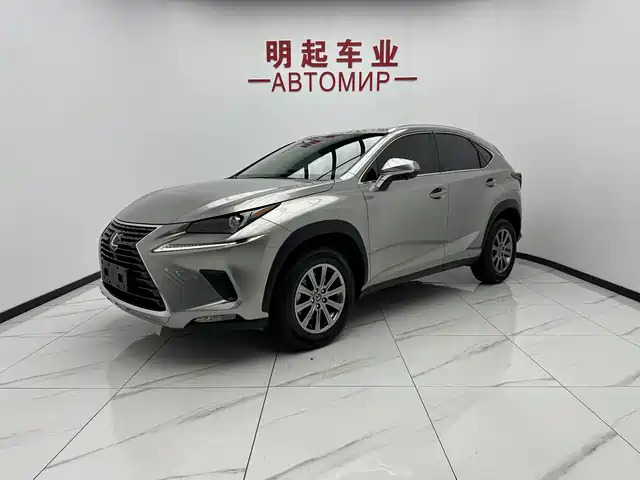 Lexus Lexus NX 2021