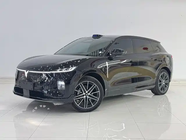 Voyah Auto Voyah Zhiyin 2025
