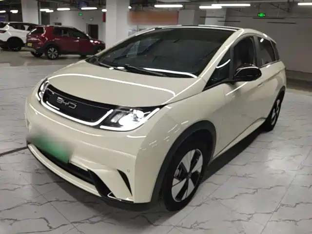 BYD Dolphin 2024