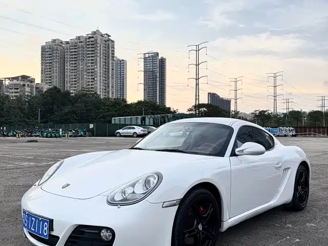Porsche Cayman 2010