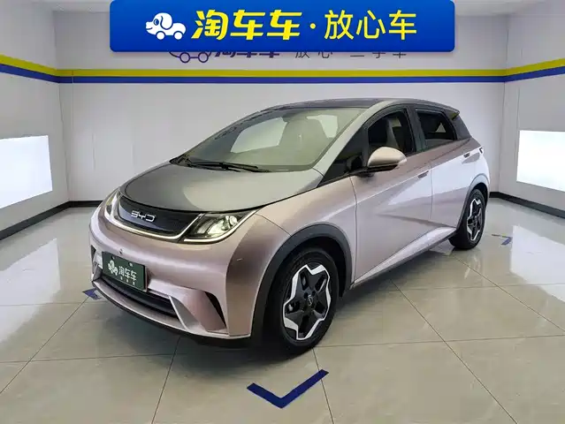 BYD Dolphin 2022