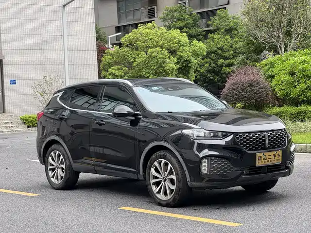WEY Wey VV6 2020