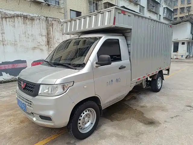 Wuling Motors Wuling Rongguang New Truck 2020