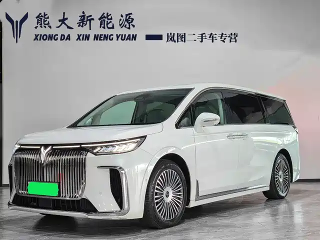 Voyah Auto Voyah Dreamer 2024