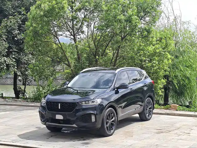 WEY Wey VV6 2019