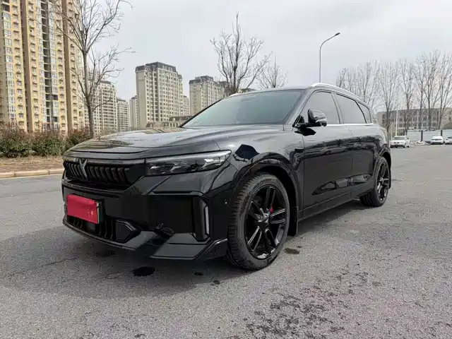 Voyah Auto VOYAH FREE 2024