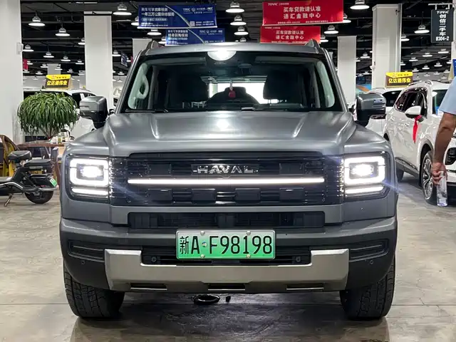 Haval Haval Meng Long NEV 2025