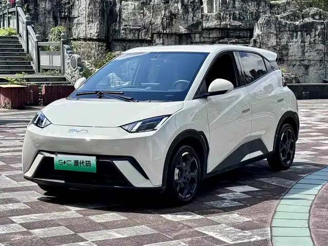 BYD Seagull 2024
