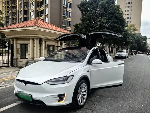 Tesla Model X 2020