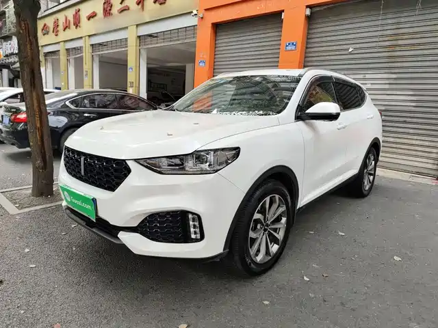 WEY Wey VV6 2019