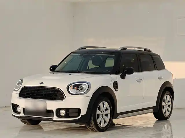 MINI MINI COUNTRYMAN 2019