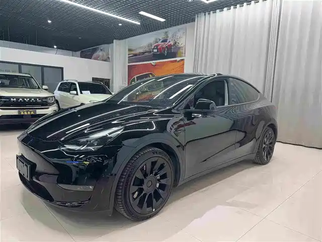 Tesla Model Y 2021