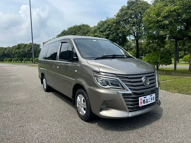 Dongfeng Fengxing Lingzhi 2021