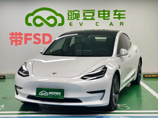 Tesla Model 3 (Import) 2019