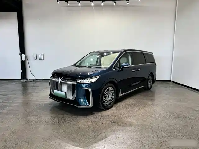 Voyah Auto Voyah Dreamer 2025