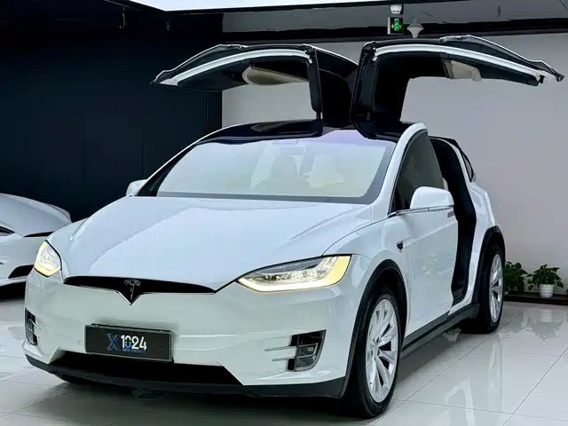 Tesla Model X 2019