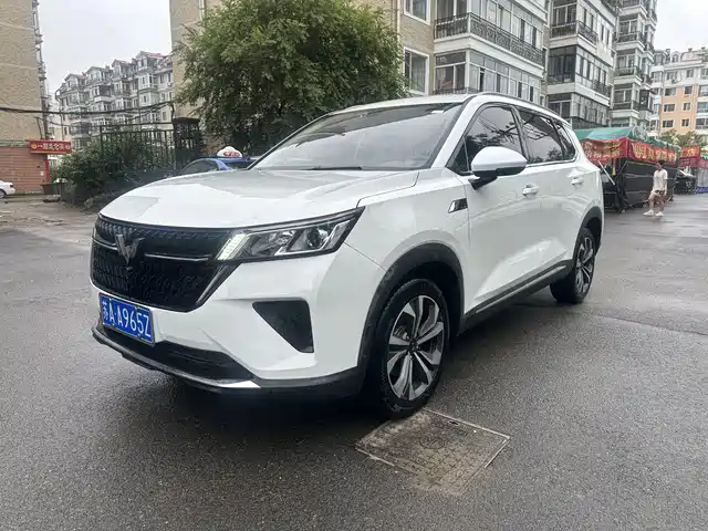 Wuling Motors Wuling Xingchen 2022