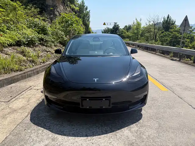 Tesla Model 3 2020