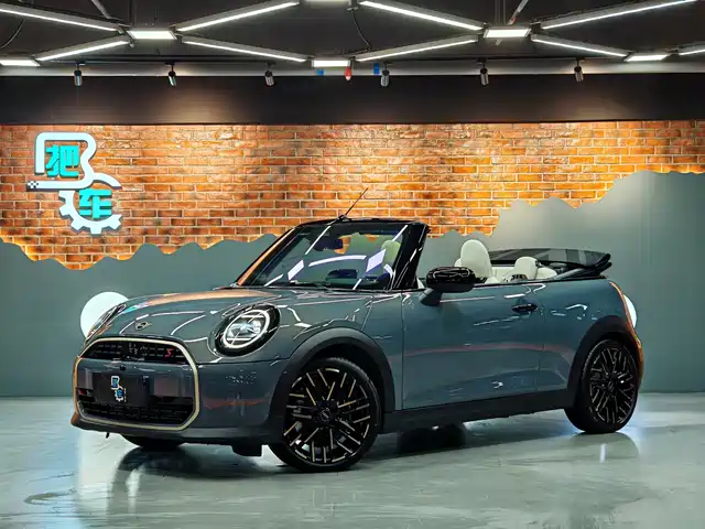 MINI MINI 2025