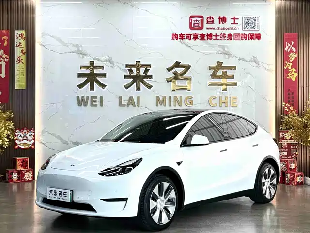 Tesla Model Y 2021