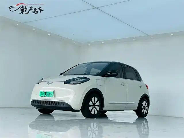 Wuling Motors Wuling Bingo